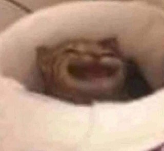 Chú mèo con cười há mồm hết cỡ - Kho Ảnh Chế