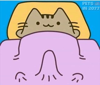 Chú mèo nằm đắp chăn cứng chỗ đó - Kho Ảnh Chế