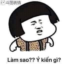 Đầu nấm mặc áo da báo nói làm sao? Ý kiến gì? - Kho Ảnh Chế