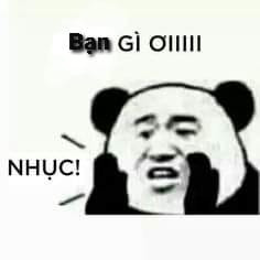 Gấu Trúc hô to: bạn gì ơi, nhục! - Kho Ảnh Chế