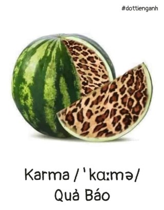 Hình ảnh quả báo (quả dưa hấu có ruột da báo) - Kho Ảnh Chế