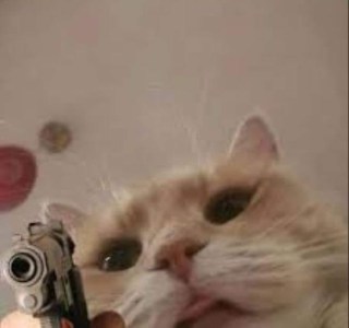 Mèo cầm súng ngắn chĩa vào camera - Kho Ảnh Chế