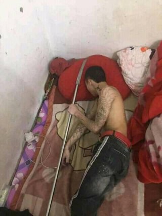 Thanh niên xăm trổ cầm phóng lợn nằm ngủ - Kho Ảnh Chế