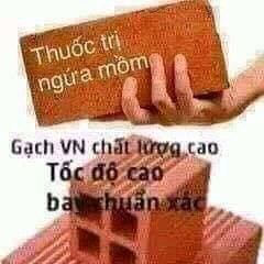 Thuốc trị ngứa mồm - gạch Việt Nam chất lượng cao - Kho Ảnh Chế