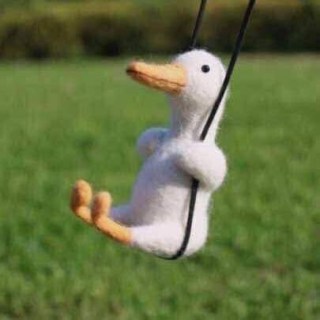 Vịt trắng ngồi xích đu - Kho Ảnh Chế